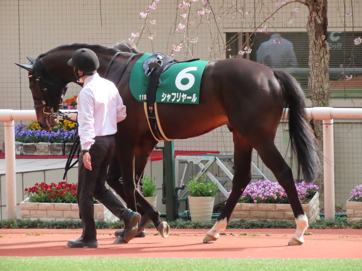 f:id:MakiTakatsu1990:20210329003548j:plain