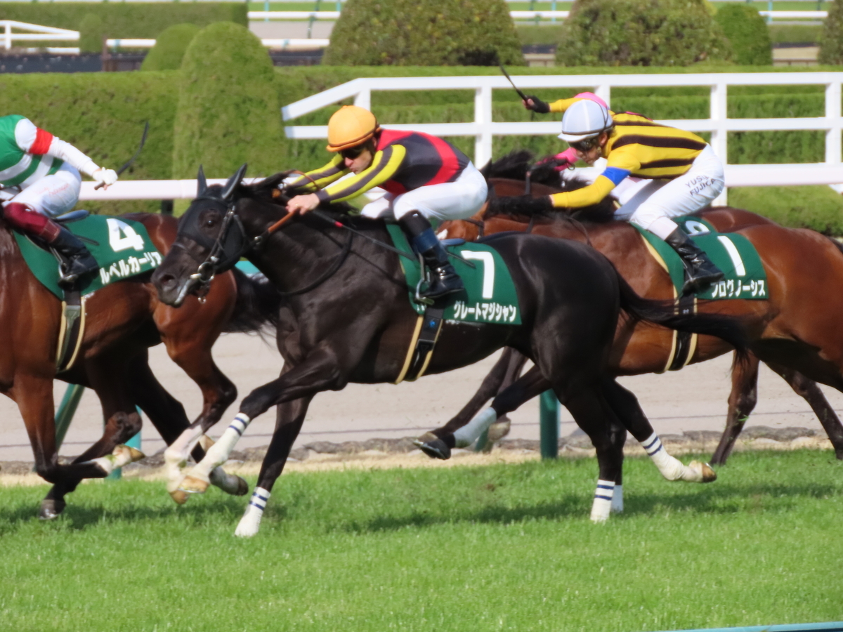 f:id:MakiTakatsu1990:20210329004304j:plain