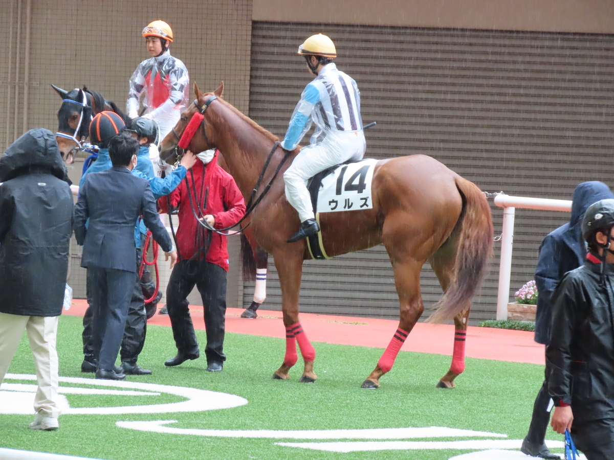 f:id:MakiTakatsu1990:20210418140154j:plain