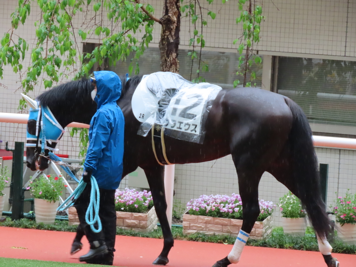 f:id:MakiTakatsu1990:20210418144708j:plain