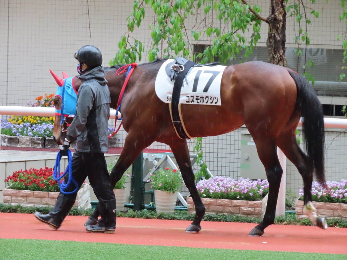 f:id:MakiTakatsu1990:20210418201336j:plain
