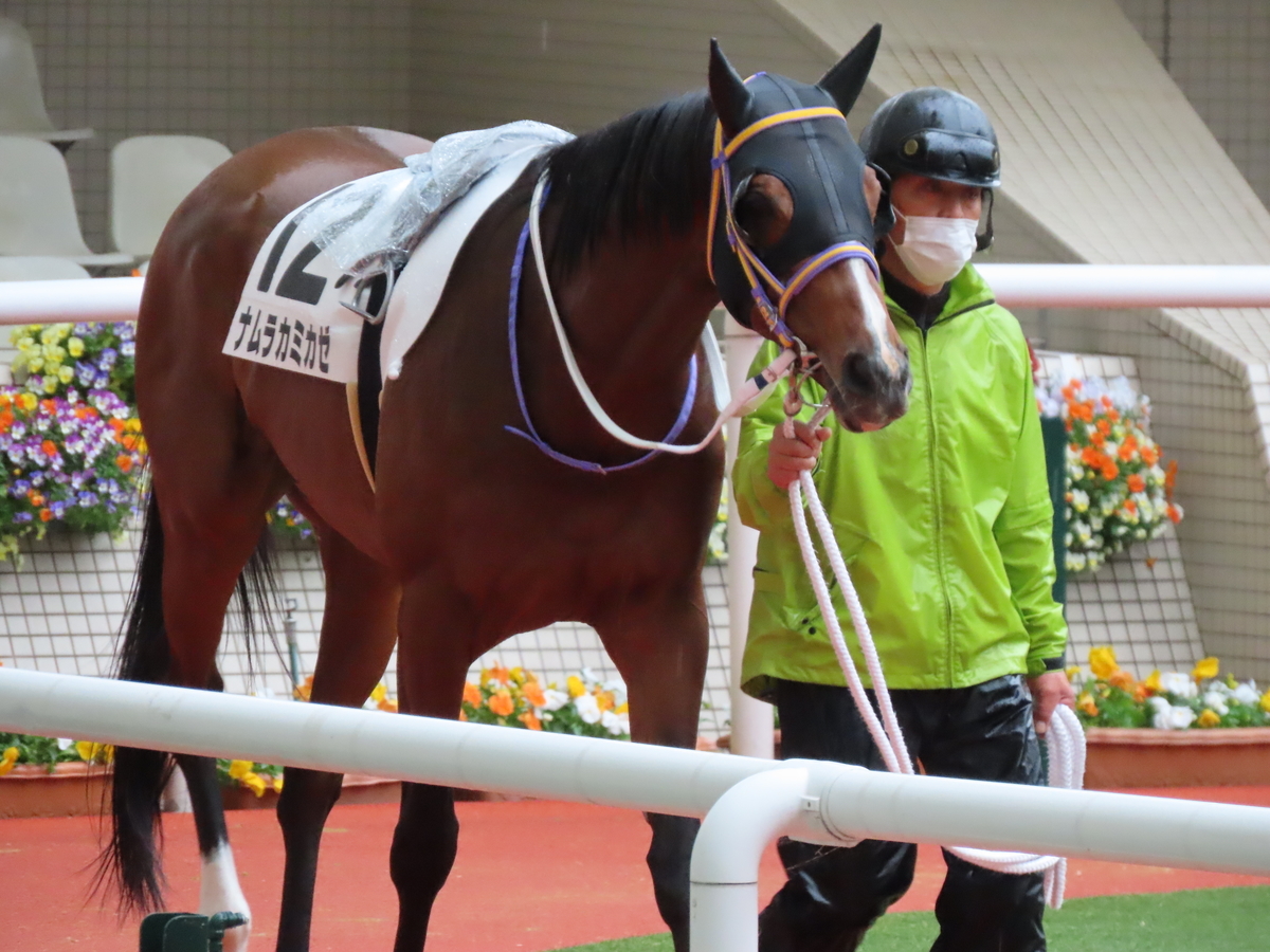 f:id:MakiTakatsu1990:20210418213234j:plain