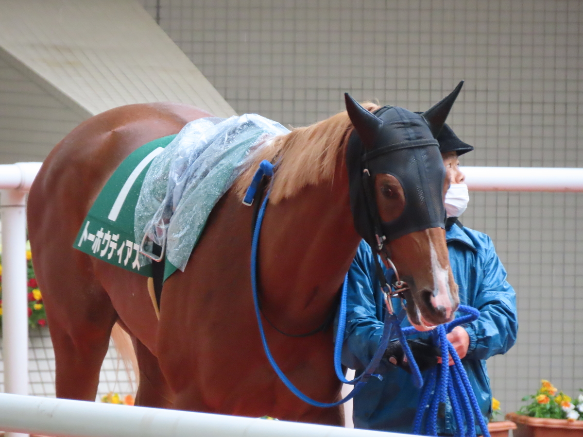 f:id:MakiTakatsu1990:20210418222444j:plain