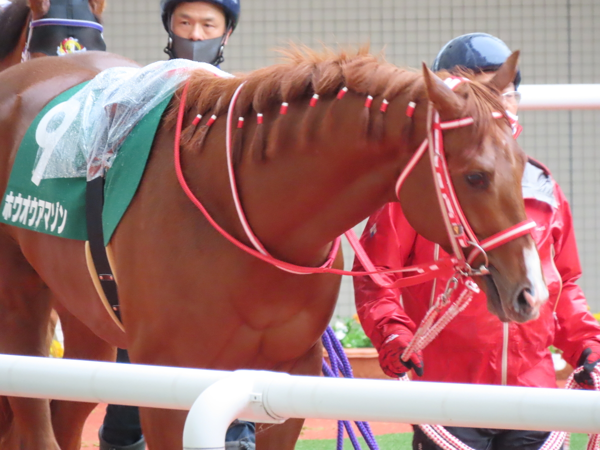 f:id:MakiTakatsu1990:20210418222533j:plain