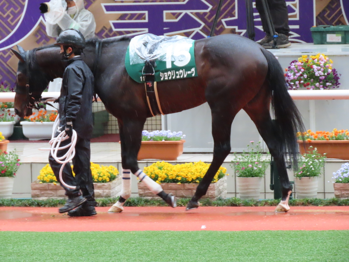f:id:MakiTakatsu1990:20210418222735j:plain