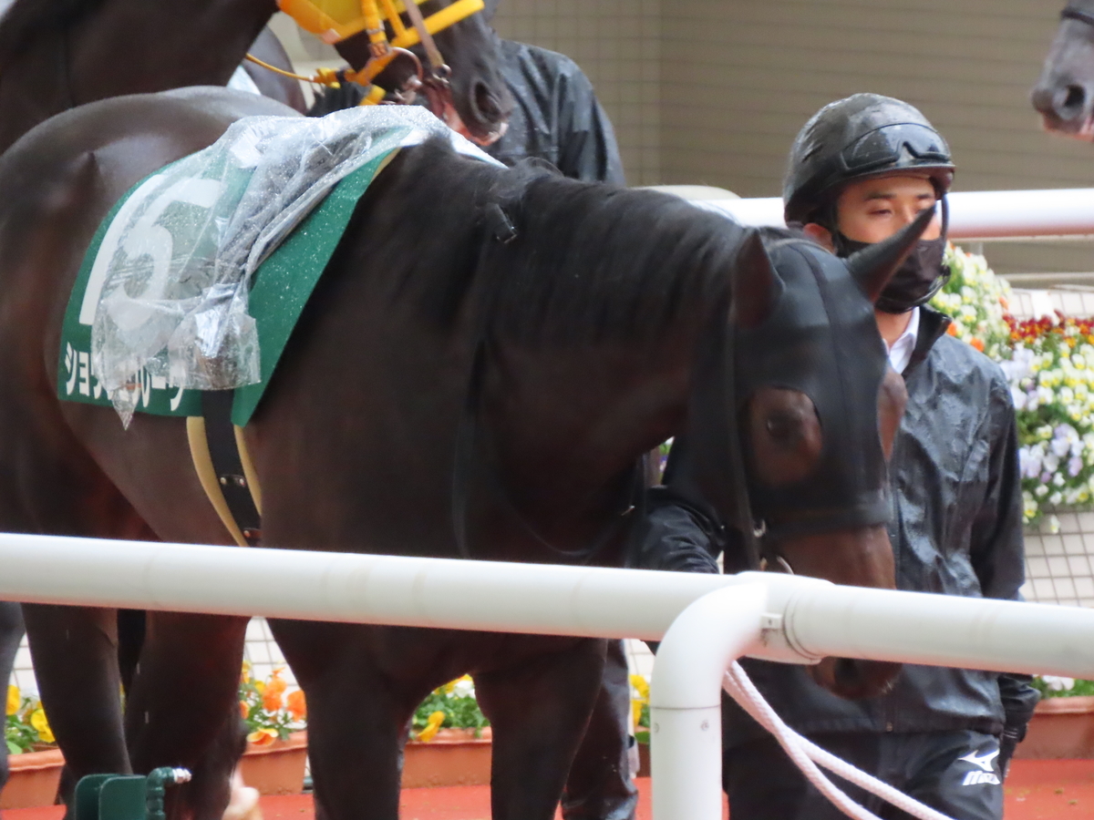 f:id:MakiTakatsu1990:20210418222815j:plain