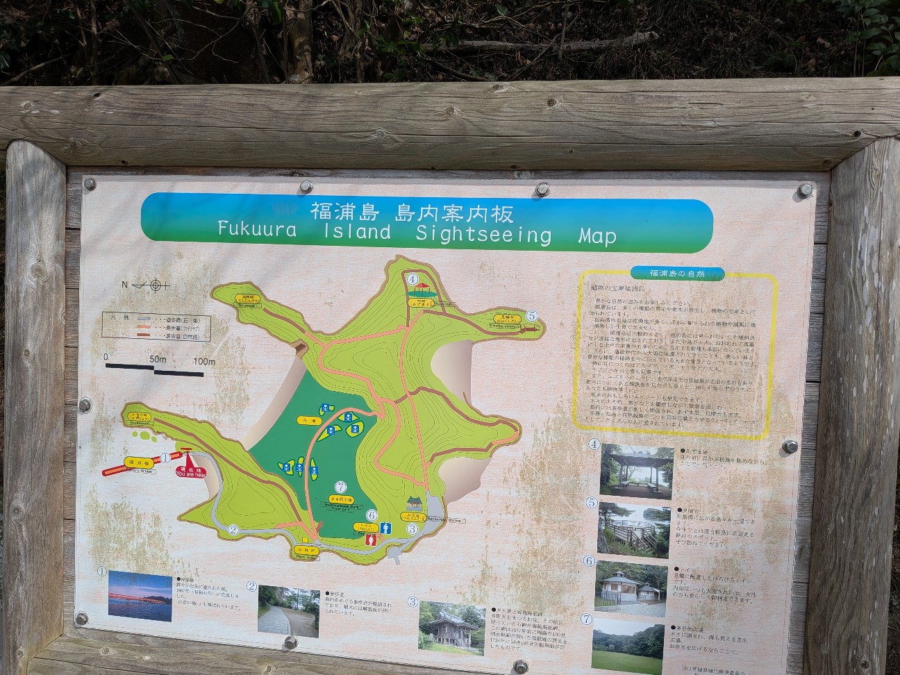 f:id:Makitan:20260321172317j:image f:id:Makitan:20260321172317j:image