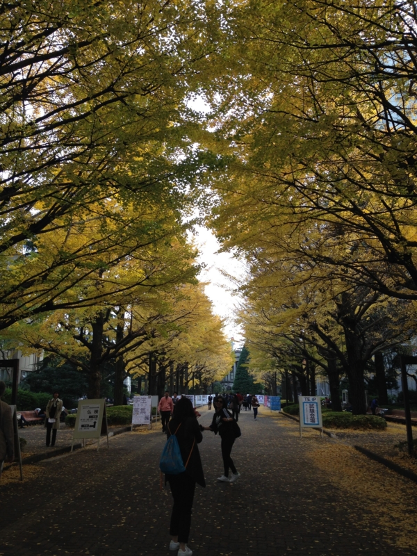 f:id:Mako81:20161120132959j:plain f:id:Mako81:20161120132959j:plain