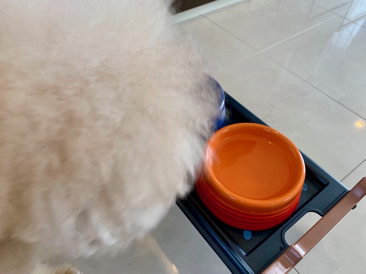 りんご酢で健康ワン！ 犬と生食