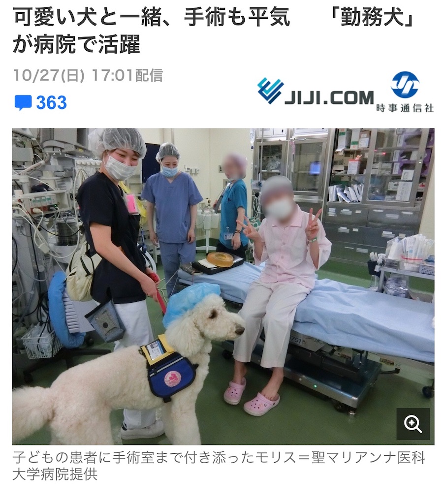 患者さんを癒す 勤務犬 犬と生食