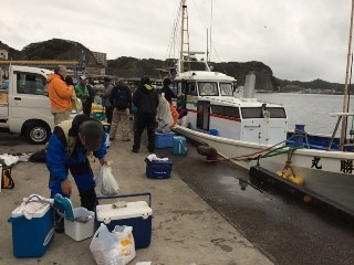 恒例 勝浦アジ釣り ２０１５ Makotsu Garage