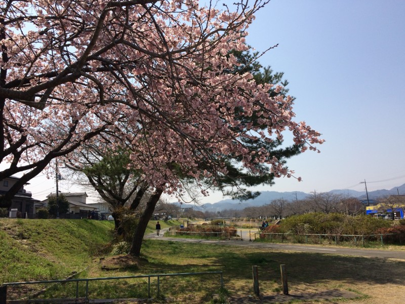 f:id:Makotsu:20170330114603j:image:w640