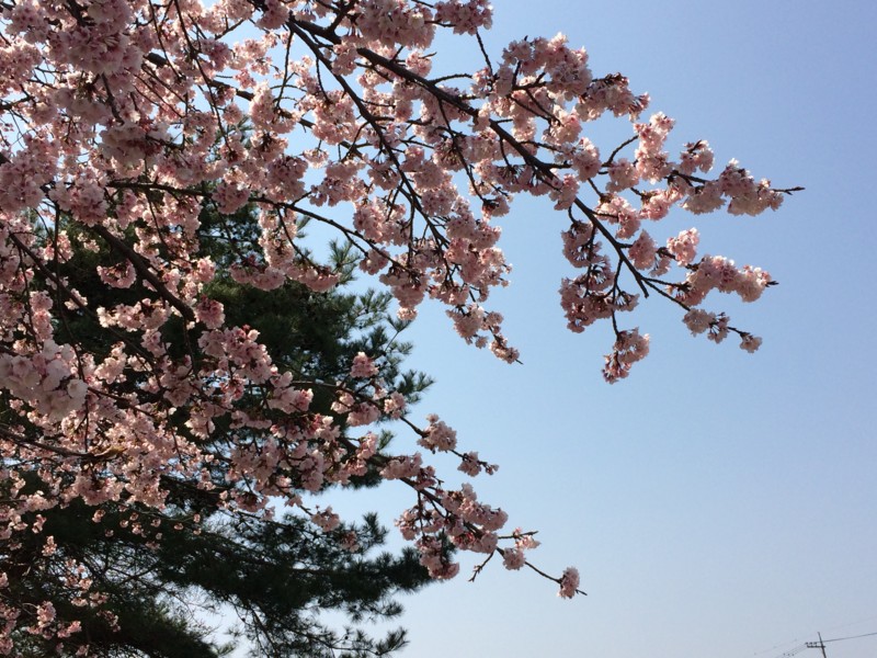 f:id:Makotsu:20170330114622j:image:w640