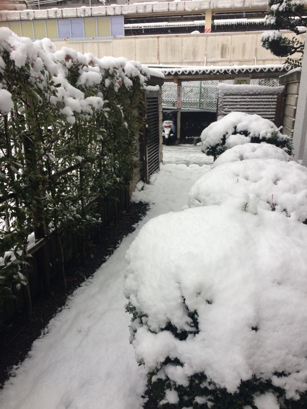 f:id:Makotsu:20180202074505j:image:w360