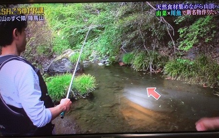 北浅川でヤマメ釣り ザ 鉄腕 ダッシュ Makotsu Garage 北浅川でヤマメ釣り ザ 鉄腕 ダッシュ Makotsu Garage