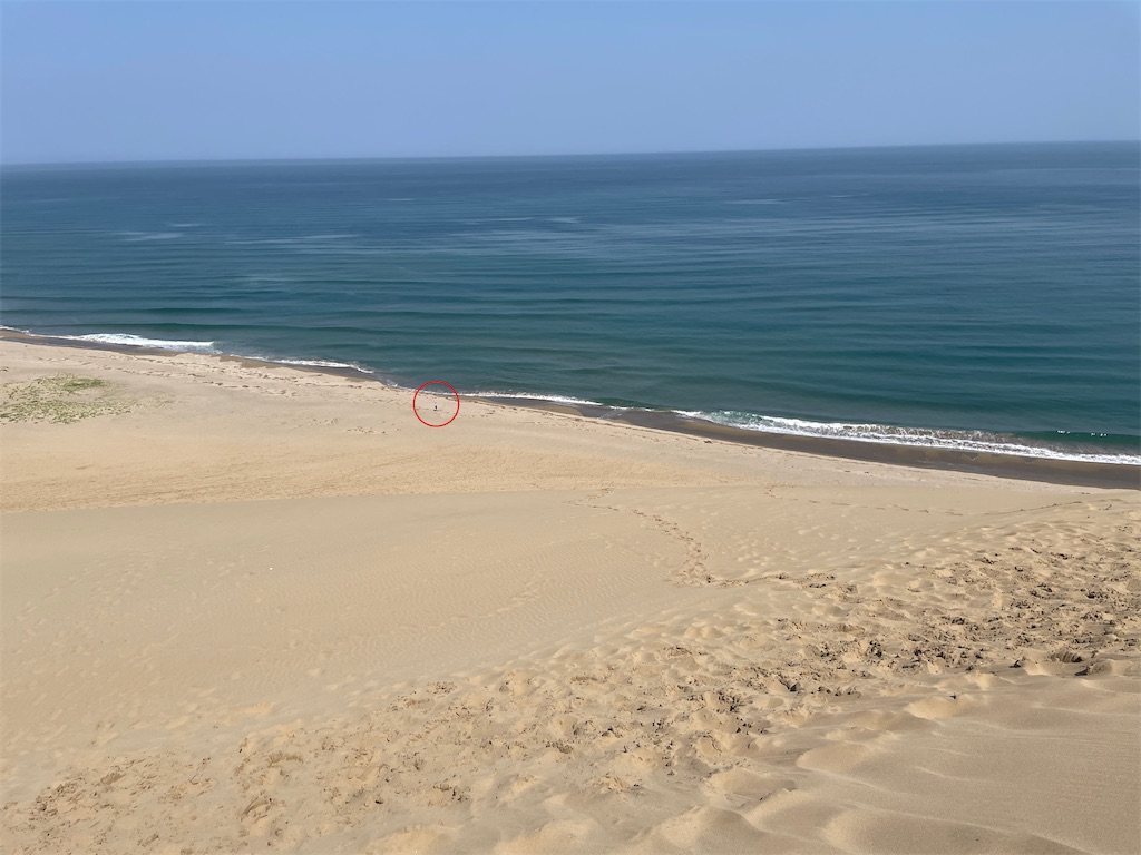 f:id:MamaTabi:20251107142230j:image f:id:MamaTabi:20251107142230j:image