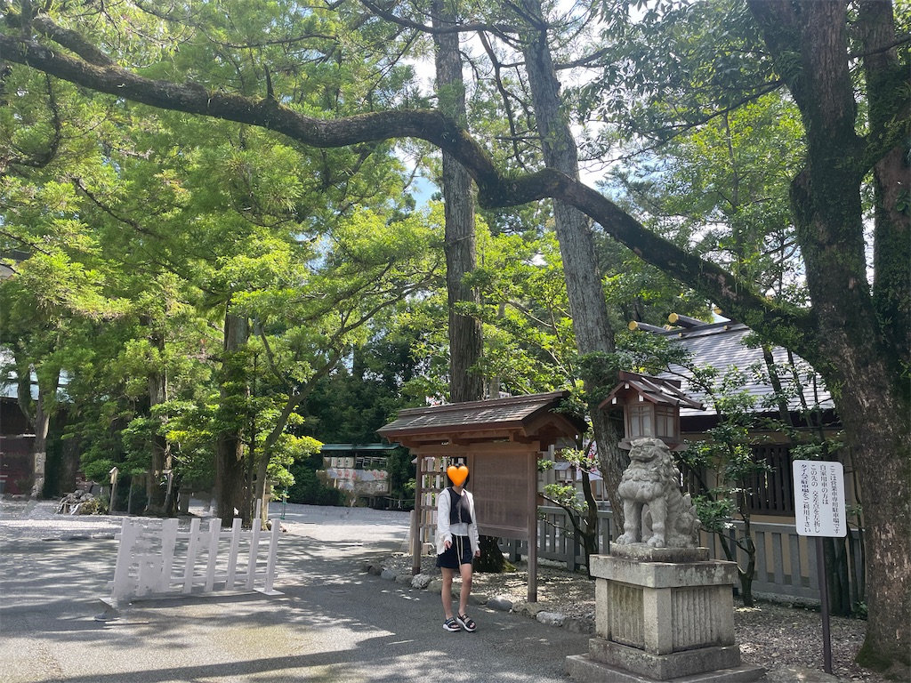 f:id:MamaTabi:20251108234732j:image