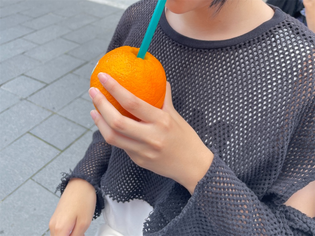 f:id:MamaTabi:20251108235043j:image