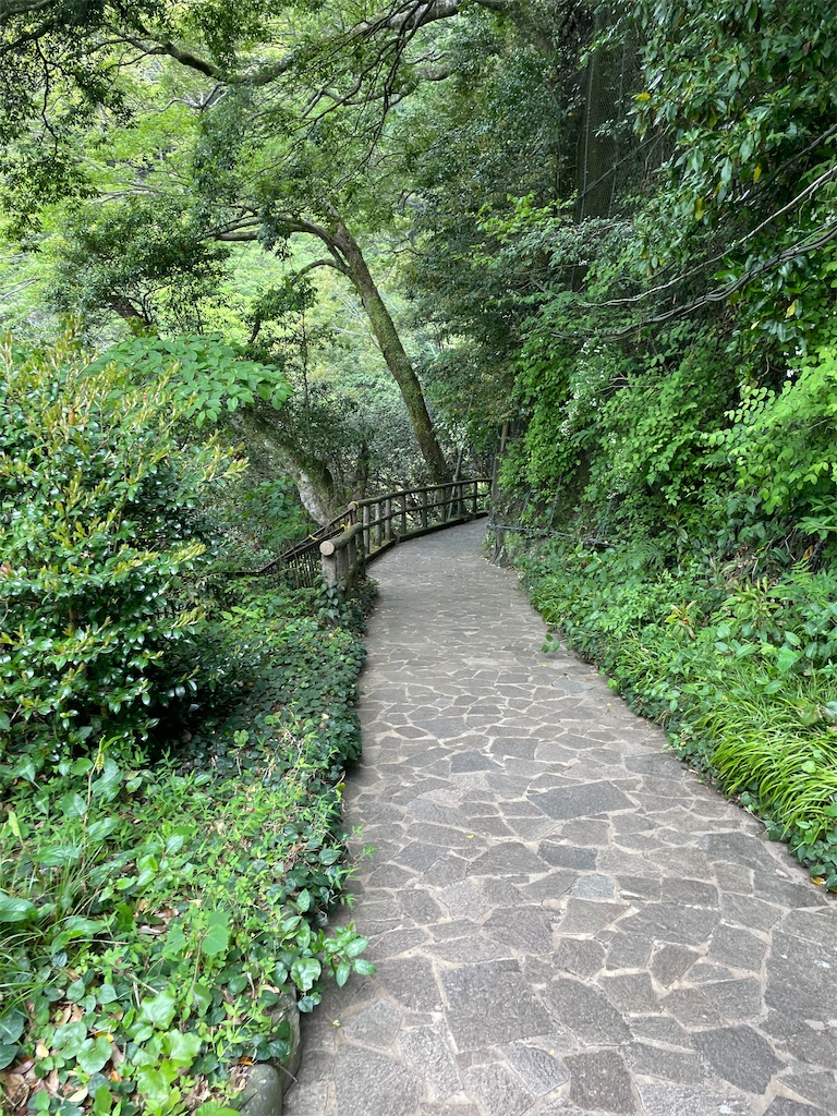 f:id:MamaTabi:20251206211756j:image