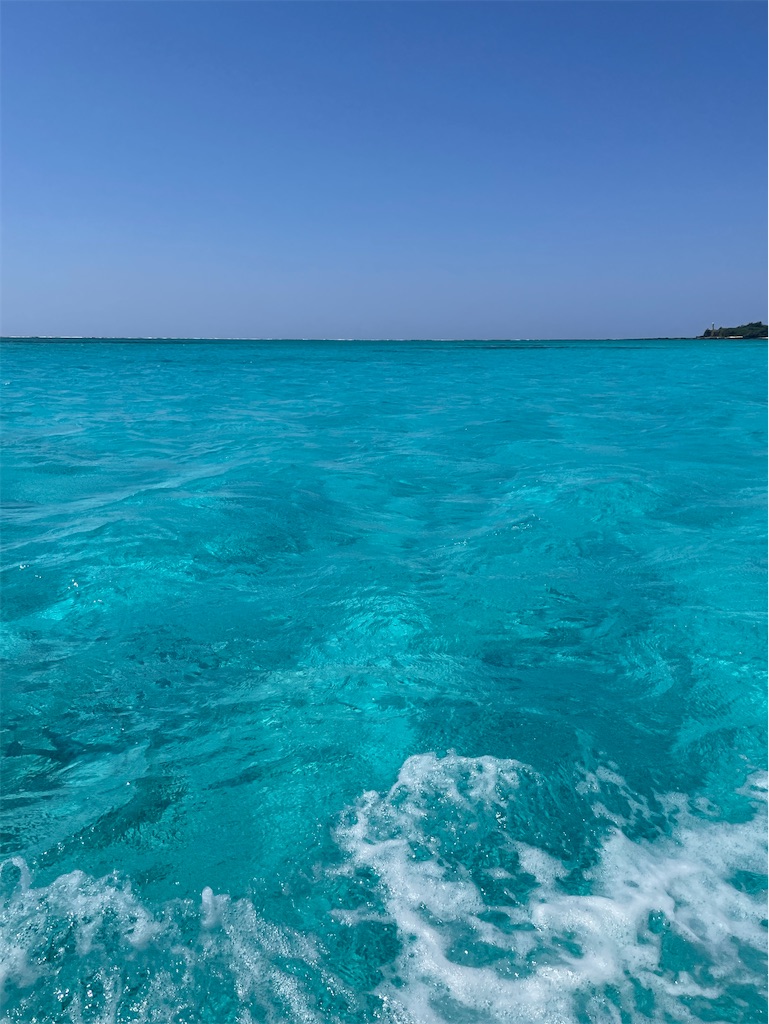 f:id:MamaTabi:20251213181222j:image