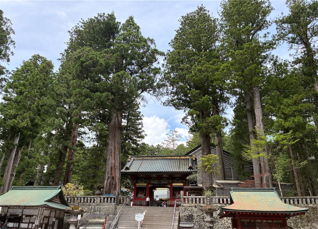 f:id:MamaTabi:20260530215415j:image f:id:MamaTabi:20260530215415j:image