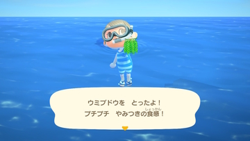 f:id:Mamacraft:20200912230840j:plain f:id:Mamacraft:20200912230840j:plain