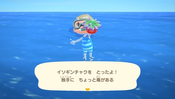f:id:Mamacraft:20200912230846j:plain f:id:Mamacraft:20200912230846j:plain