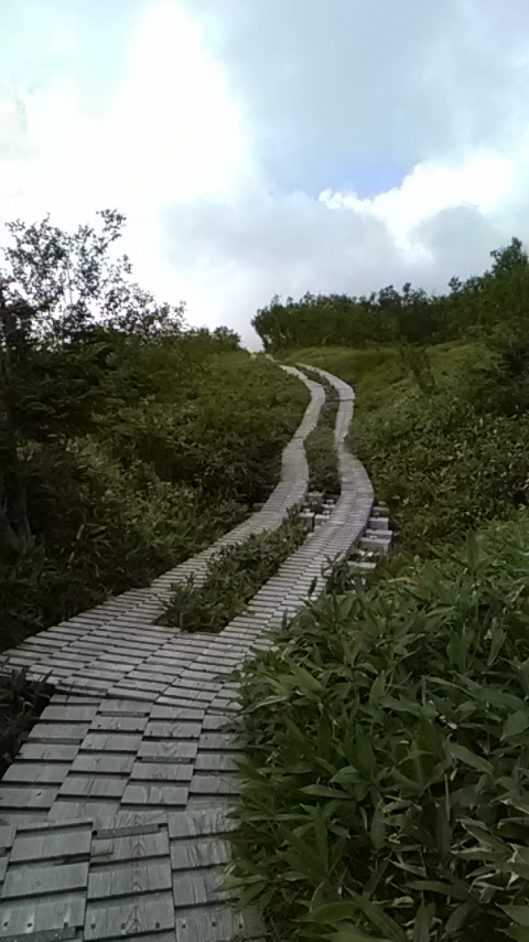 f:id:ManBo45:20200505231449j:plain f:id:ManBo45:20200505231449j:plain