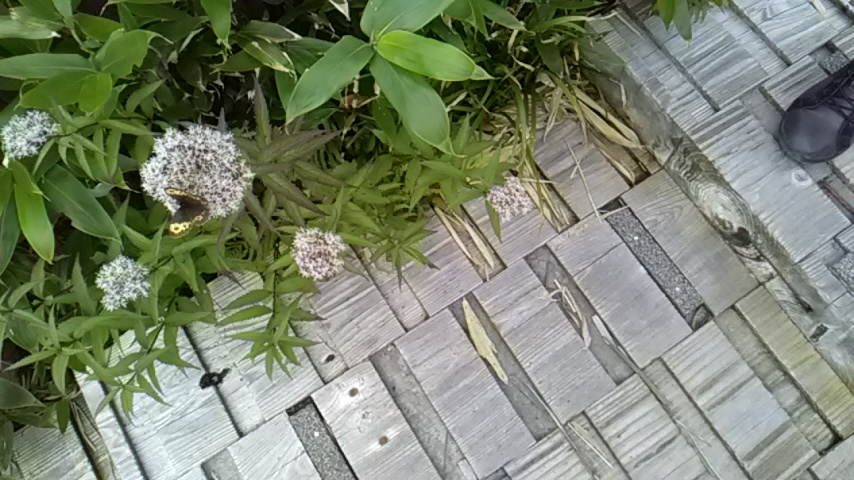 f:id:ManBo45:20200505231530j:plain f:id:ManBo45:20200505231530j:plain