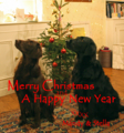 20121224123055