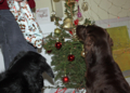 20121228012147