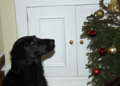20121229080323