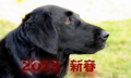 20130102211928