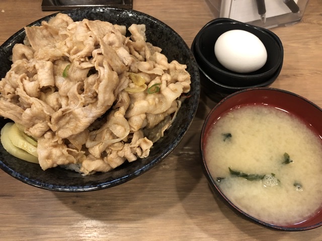 f:id:ManateePV:20191123003259j:plain