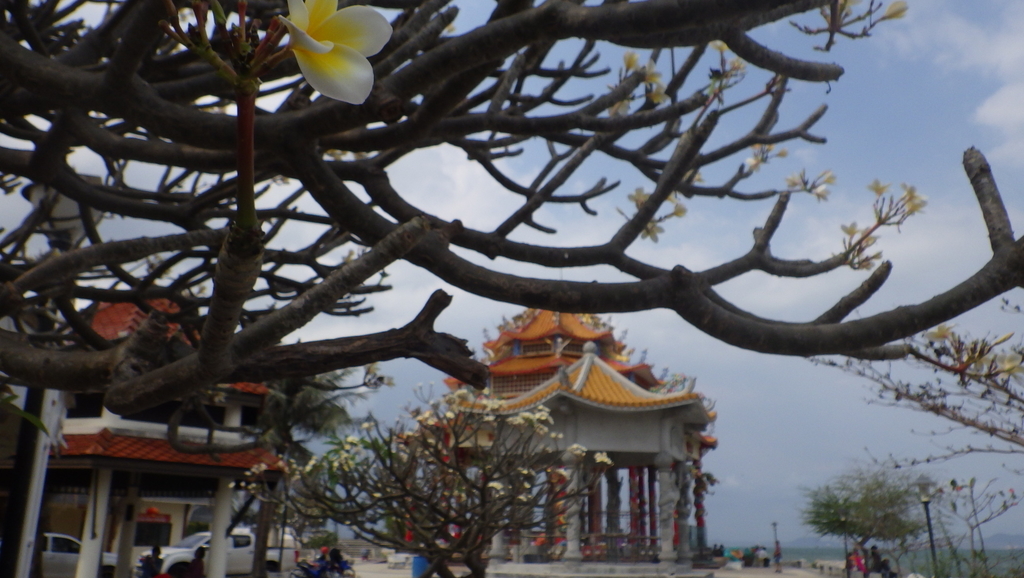 f:id:Manax:20190303165459j:plain