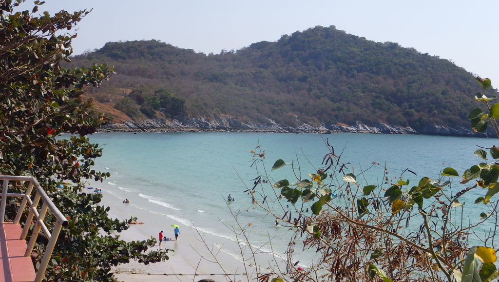 f:id:Manax:20190303170541j:plain