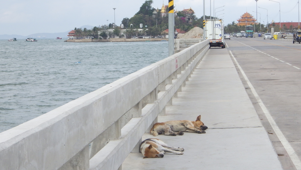 f:id:Manax:20190303171107j:plain