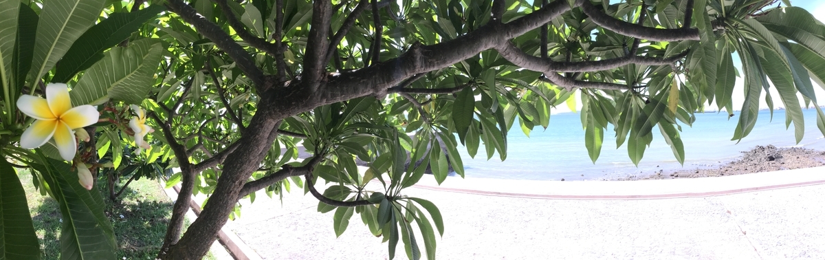 f:id:Manax:20191224011040j:plain f:id:Manax:20191224011040j:plain