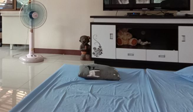 f:id:Manax:20210119172921p:plain