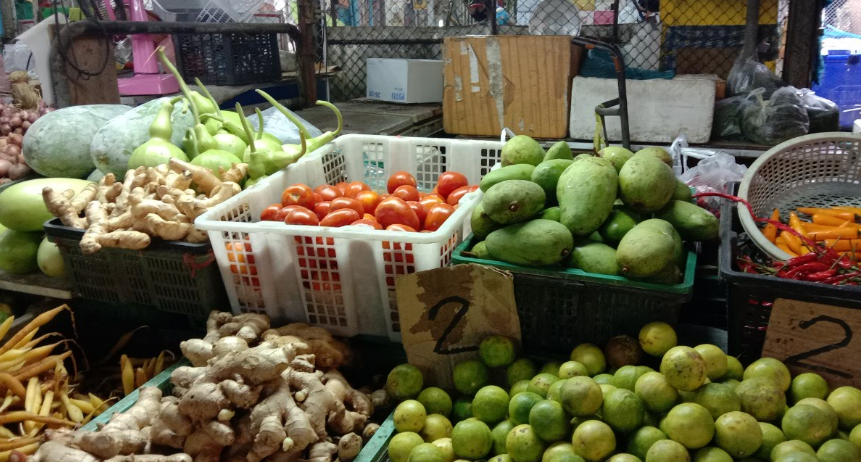 f:id:Manax:20210119173224p:plain