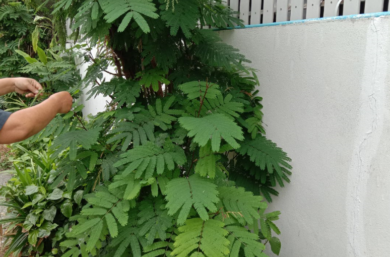 f:id:Manax:20210119173252p:plain