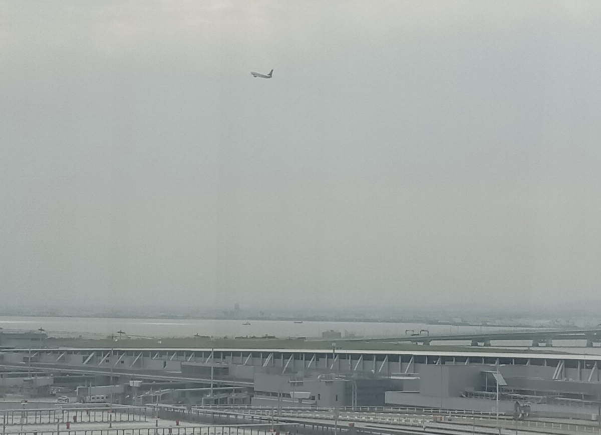 f:id:Manax:20210822201224p:plain