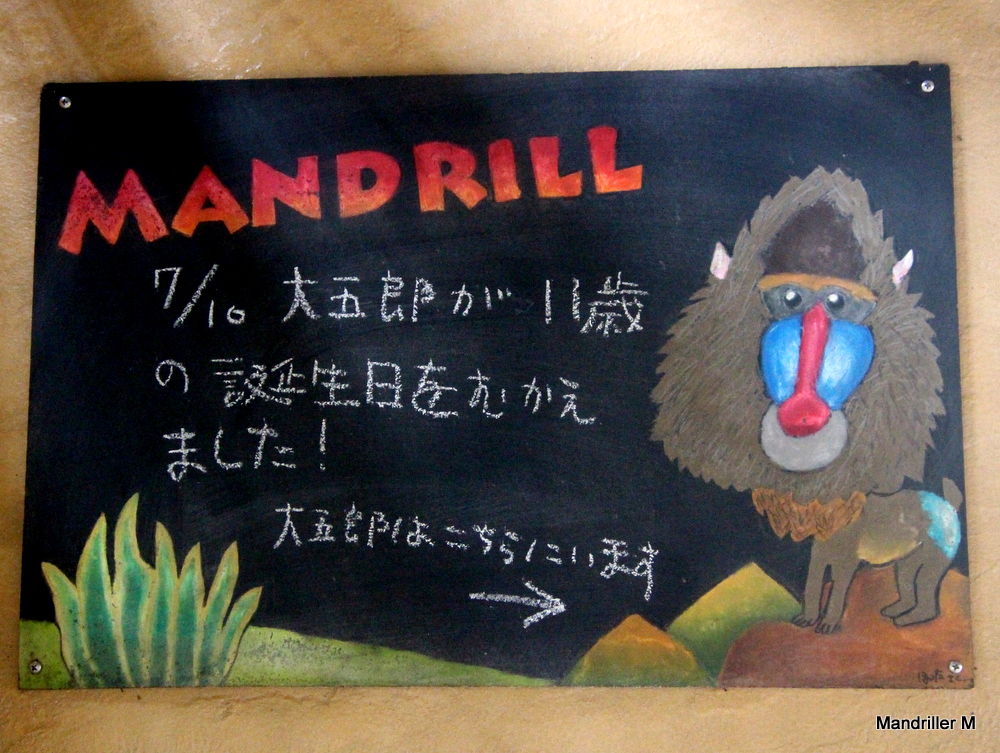 f:id:MandrillerM:20200925223553j:plain