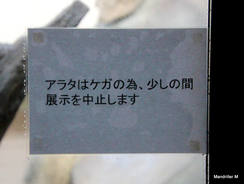 f:id:MandrillerM:20220101204716j:plain