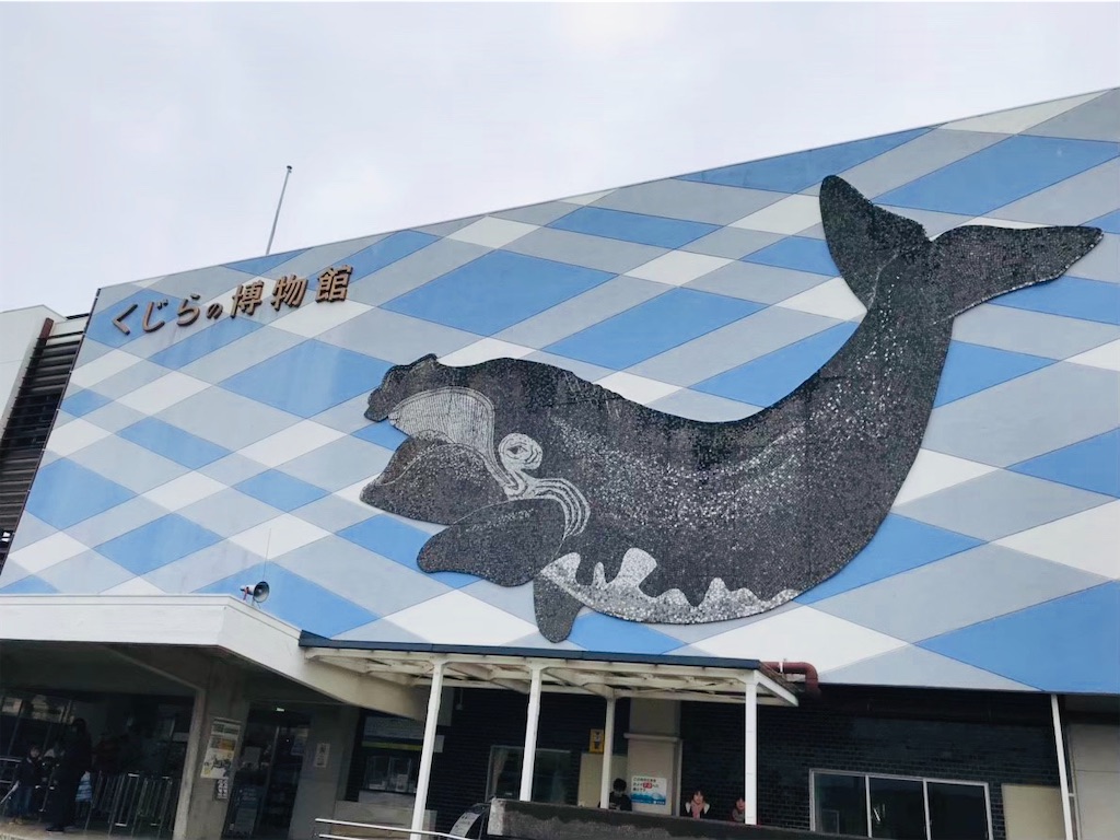 珍しいクジラショーは必見！太地町立くじらの博物館 - リゾートに