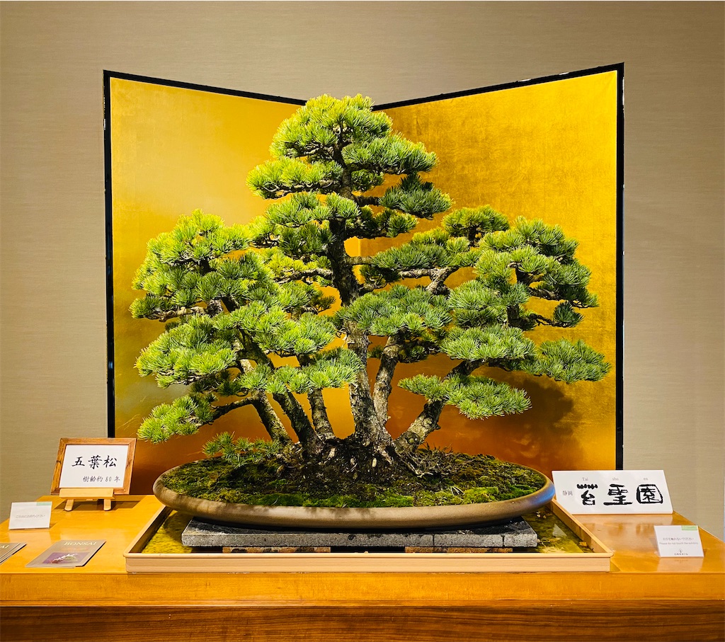 f:id:MantA:20220220232511j:image f:id:MantA:20220220232511j:image