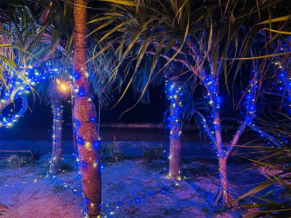 f:id:MantA:20230226174543j:image f:id:MantA:20230226174543j:image