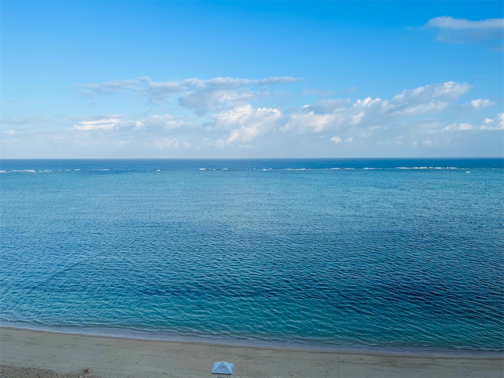 f:id:MantA:20230301165057j:image f:id:MantA:20230301165057j:image