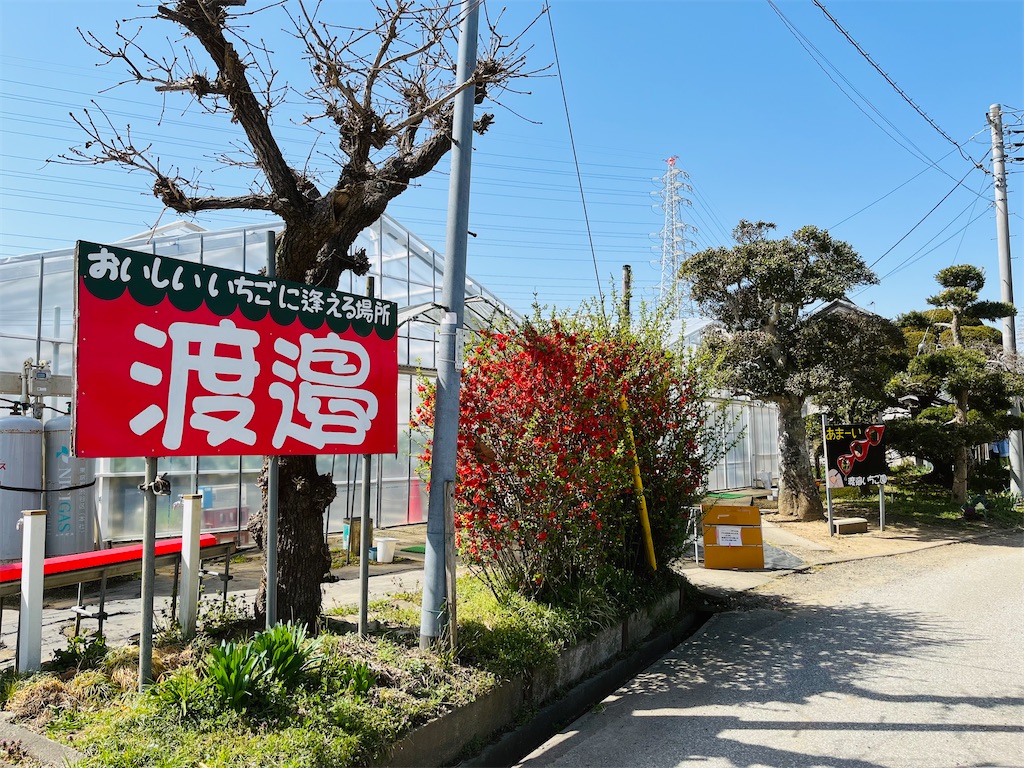 f:id:MantA:20230313212651j:image