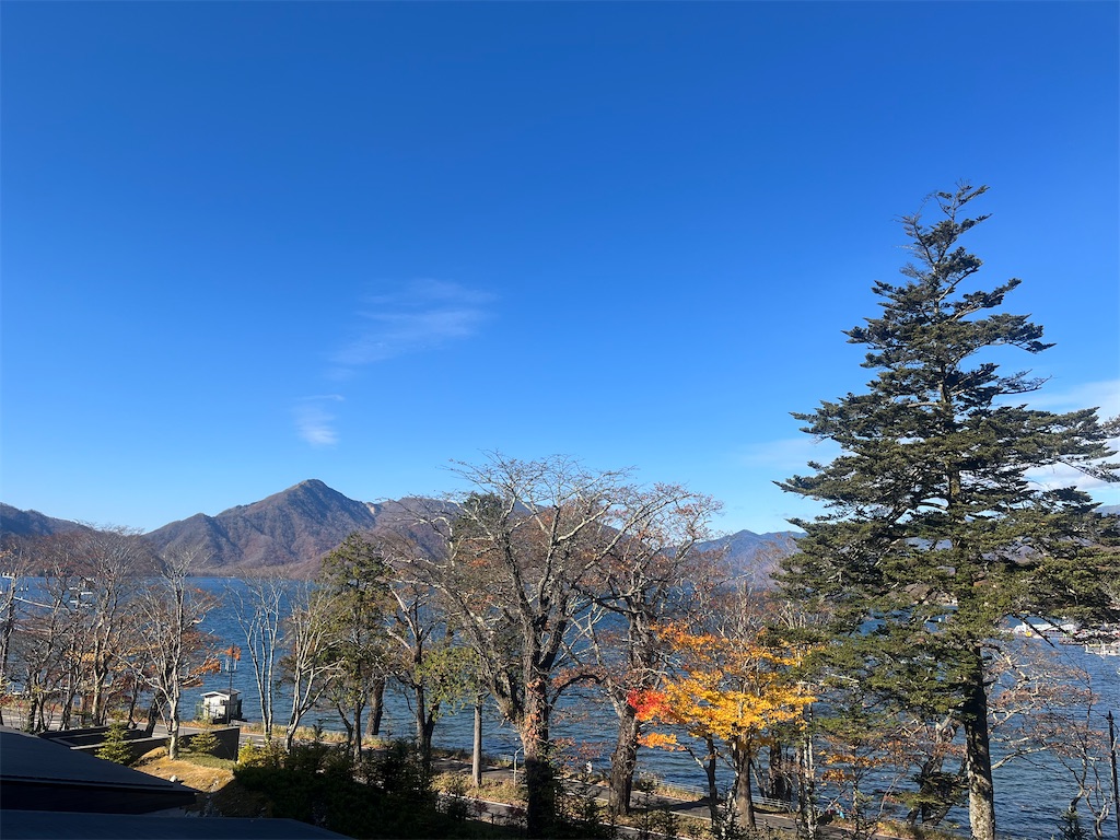 f:id:MantA:20231126001855j:image f:id:MantA:20231126001855j:image